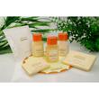Discontinued Days Inn Facial Soap