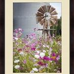 Antique Windmill