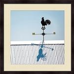 Weather Vane