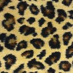 Closeout Patterned Carpet: Dark Leopard