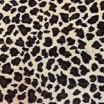 Closeout Patterned Carpet: Light Leopard