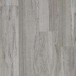 Splatted Wych Elm /  Mushroom