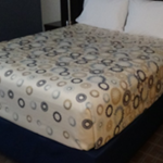 Le Cirque Decorative Top Sheet -Full