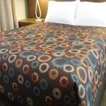 Le Cirque Microfiber Top Sheet-Full/Queen