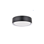 Scenic Dreams Surface Mounted Cylindrical Ceiling Light