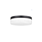 Scenic Dreams Surface Mounted Cylindrical Ceiling Light