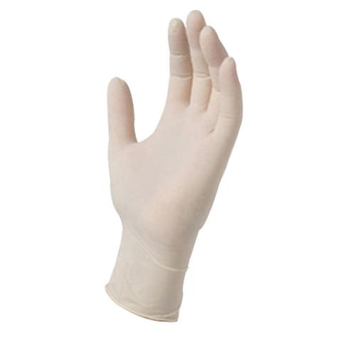 AVM Enterprises, Inc - Powder Free Vinyl Gloves - Large